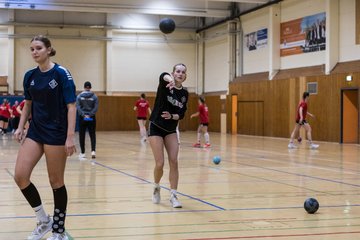 Bild 121 - F TSV Ellerau - HSG Tills Loewen 08 : Ergebnis: 16:18
